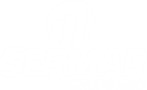 Logo Footer